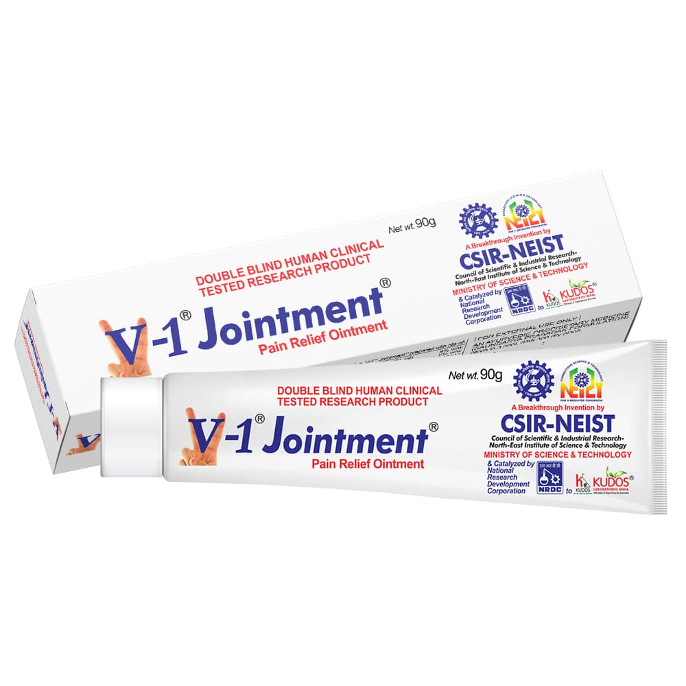 V-1 Jointment Pain Relief Ointment – 90g
