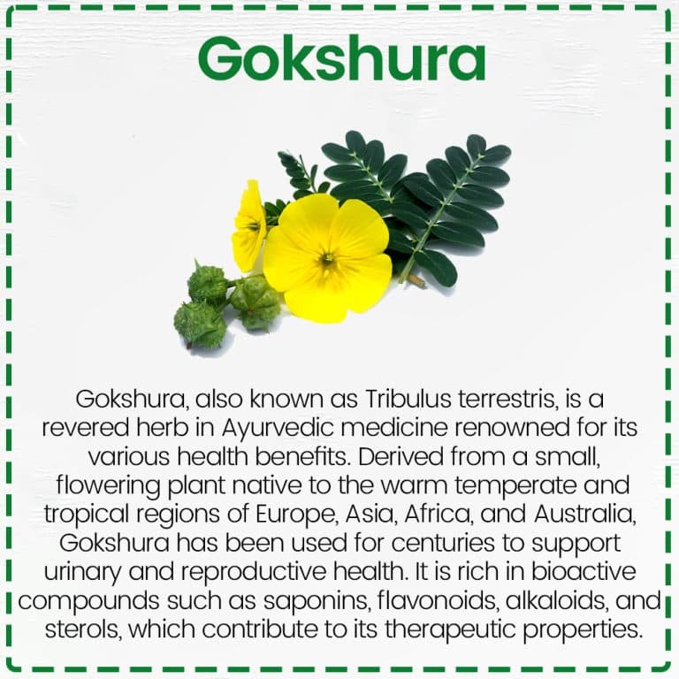 Gokshura Tablets 5